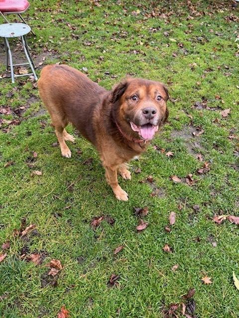 Rusty — thumbnail 6