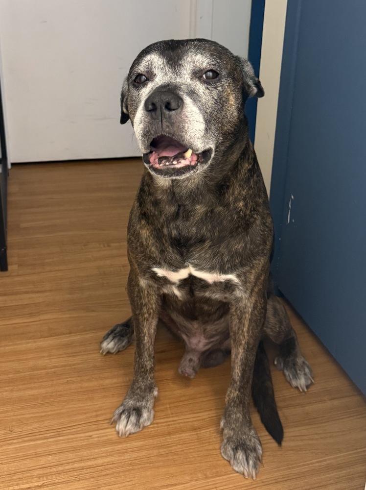 Grandpa Rocky thumbnail 3