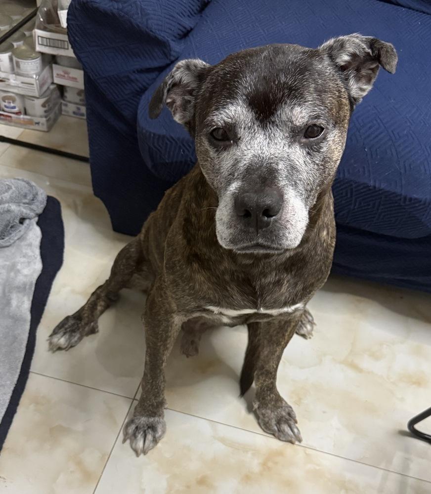 Grandpa Rocky thumbnail 4