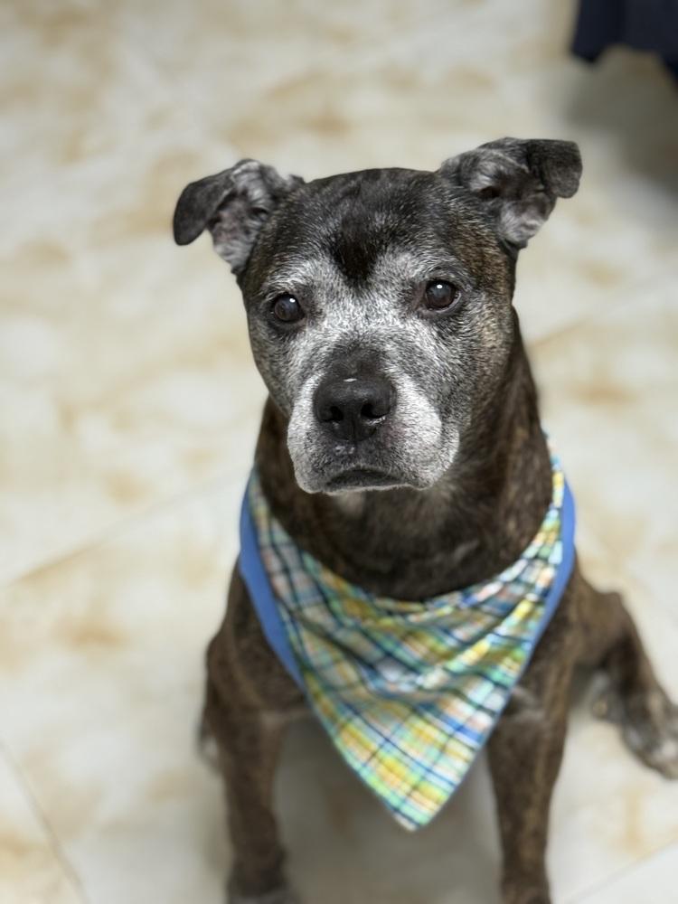 Grandpa Rocky thumbnail 5