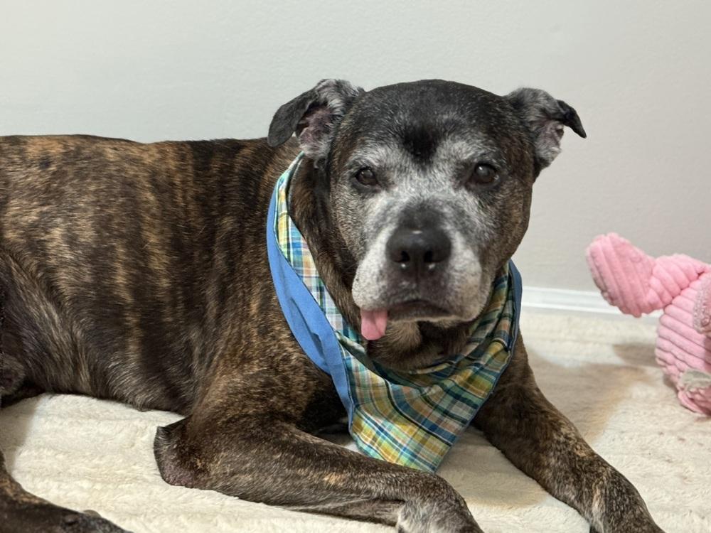 Grandpa Rocky thumbnail 6