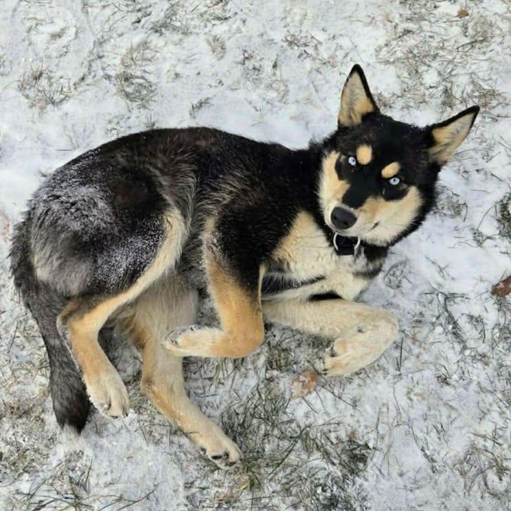 Pretty (20260211-07) — thumbnail 2