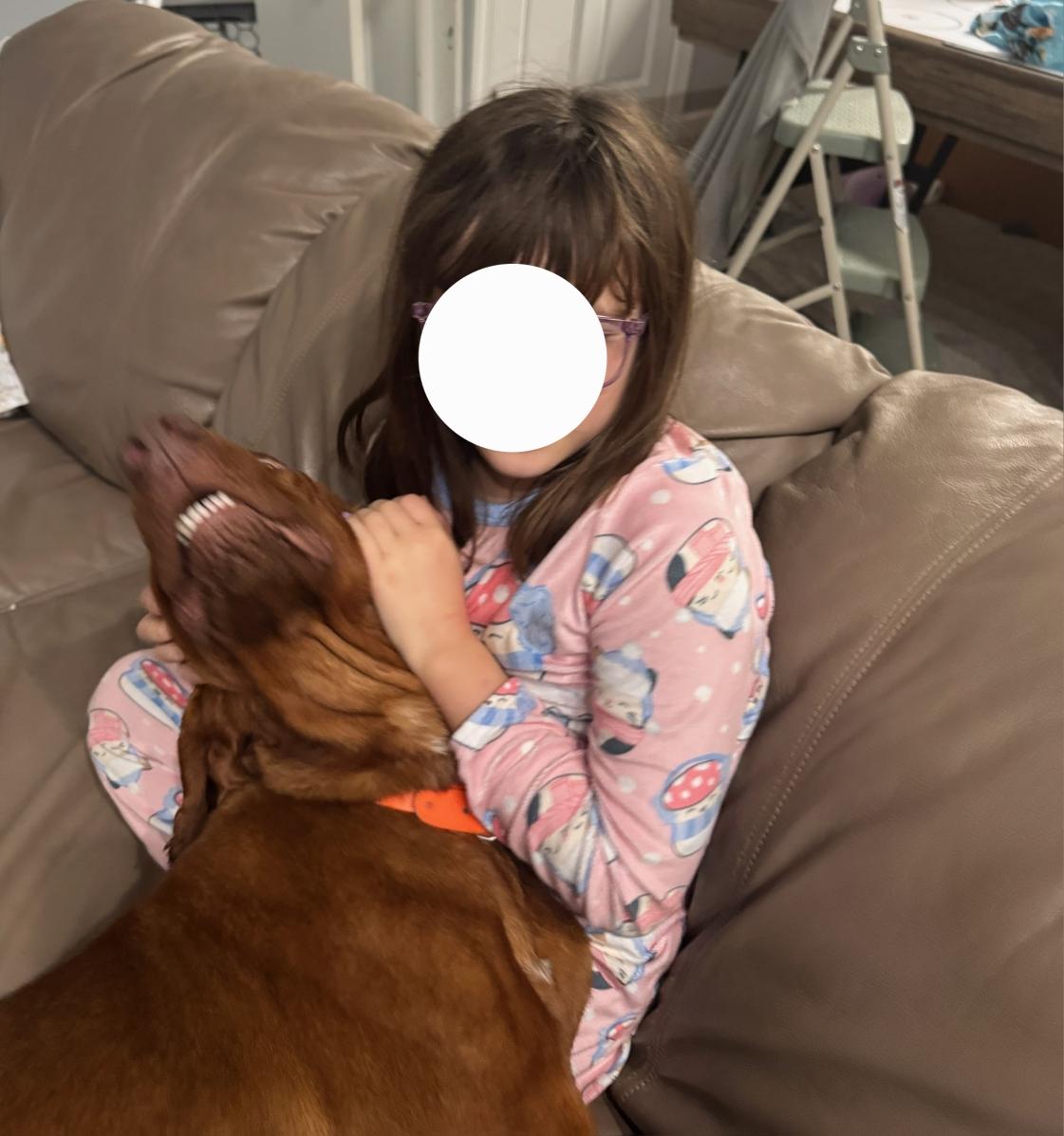 Enlarge Clifford, a ADOPTABLE Bloodhound in Cary, NC image 5/5