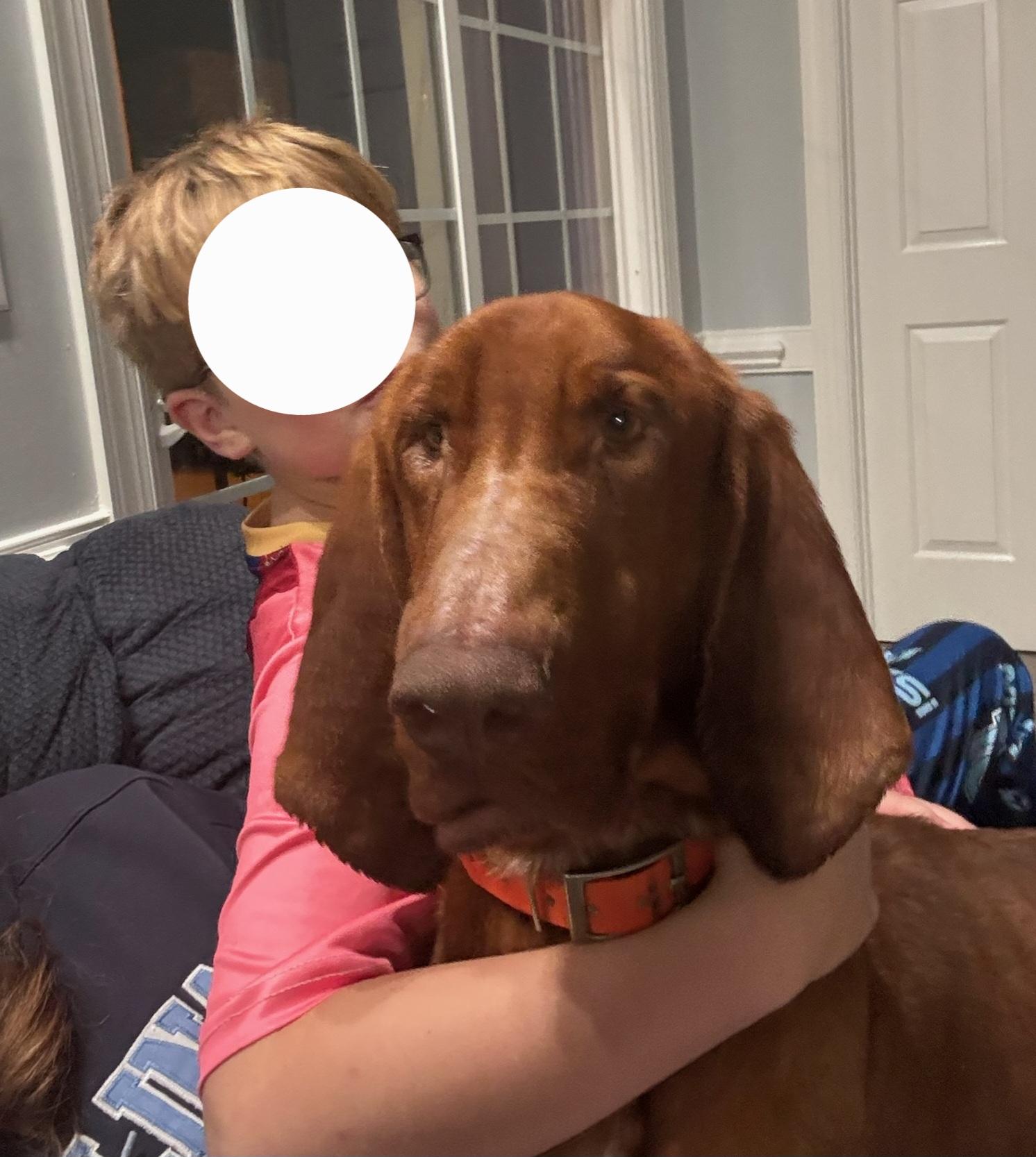 Clifford thumbnail 5