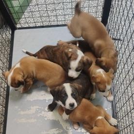 Wednesday thumbnail 2