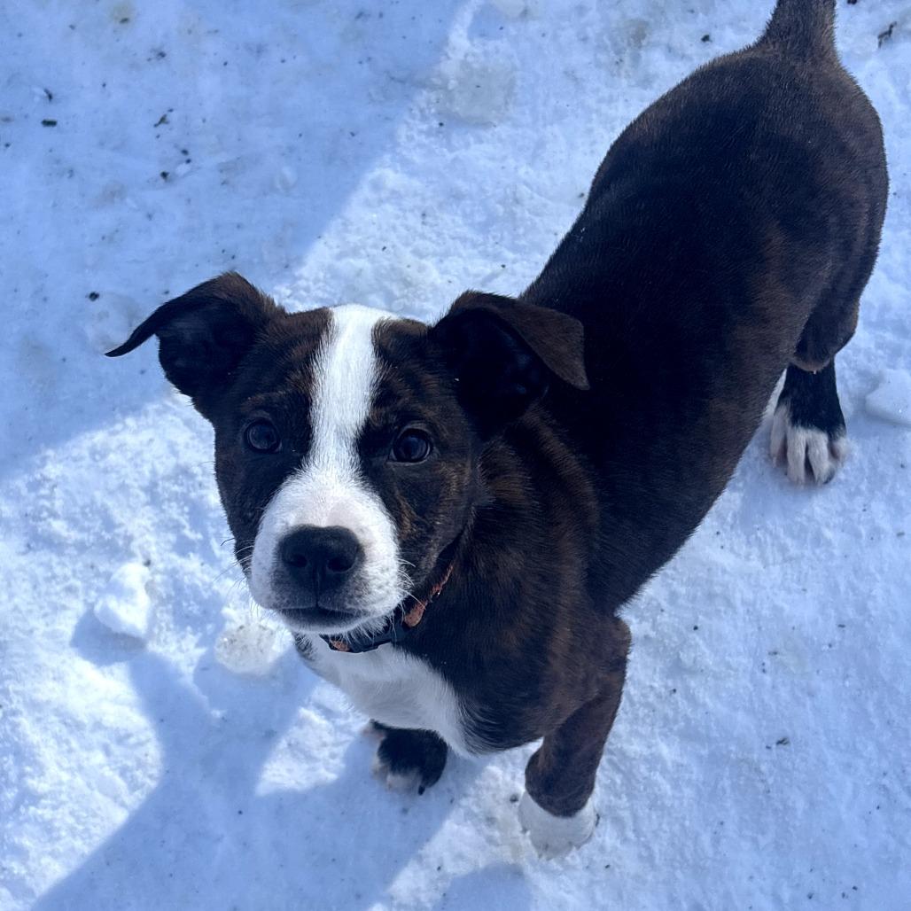 Wednesday thumbnail 3