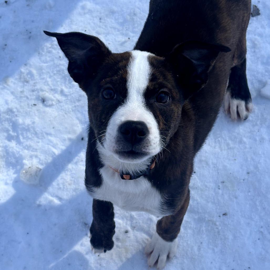 Wednesday thumbnail 5