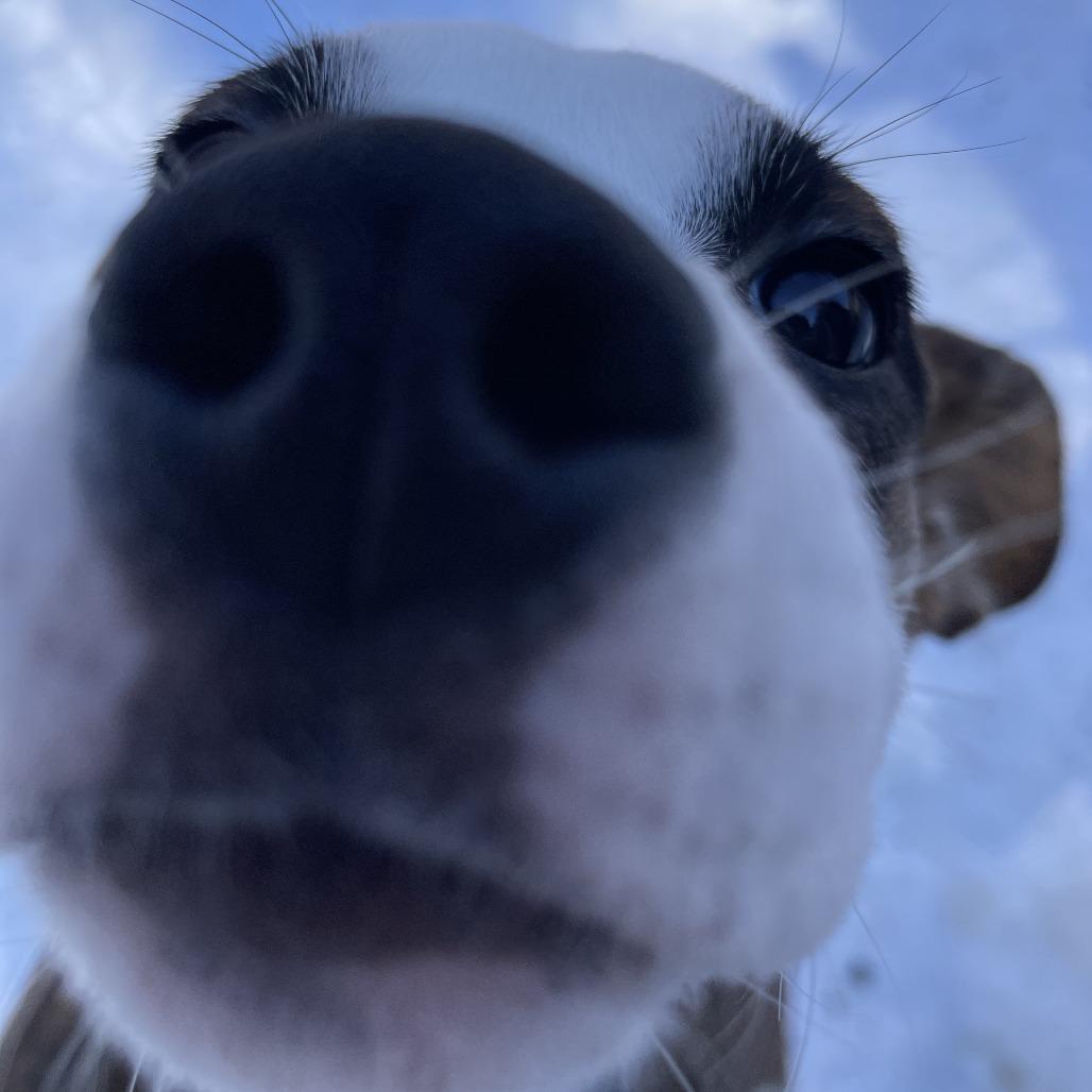 Wednesday thumbnail 6