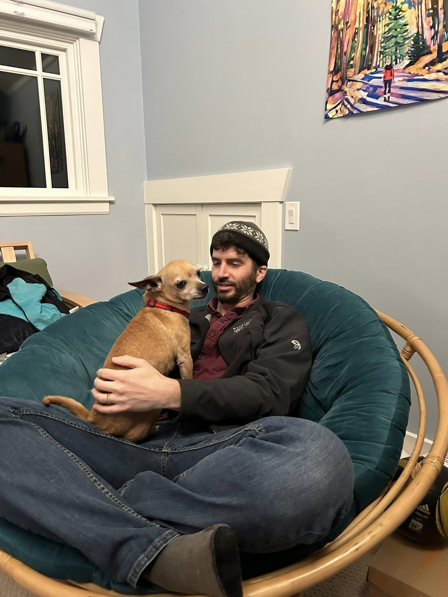 Enlarge Brewster, a ADOPTABLE mixed breed in Covington, WA image 6/6