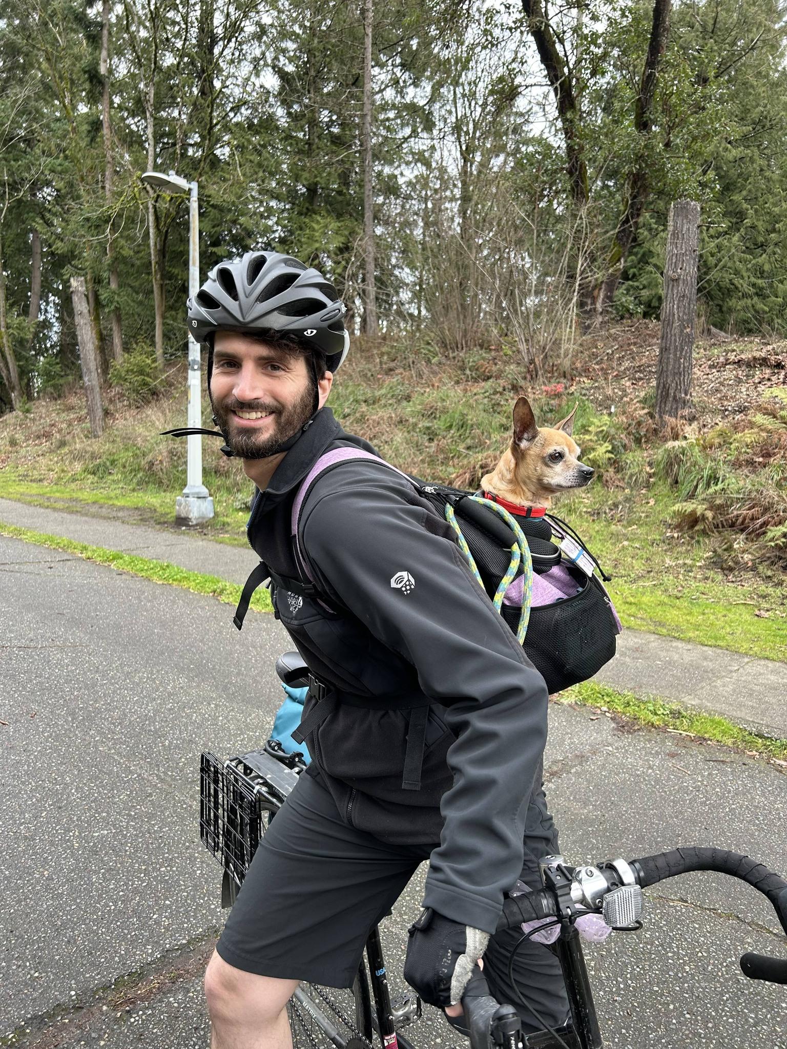 Enlarge Brewster, a ADOPTABLE mixed breed in Covington, WA image 5/6