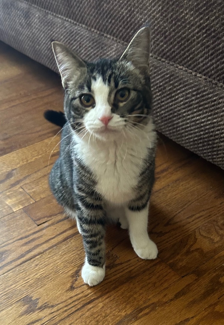 Tigger