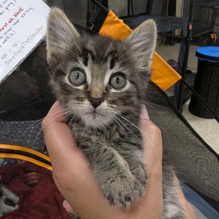 Deduction — thumbnail 2