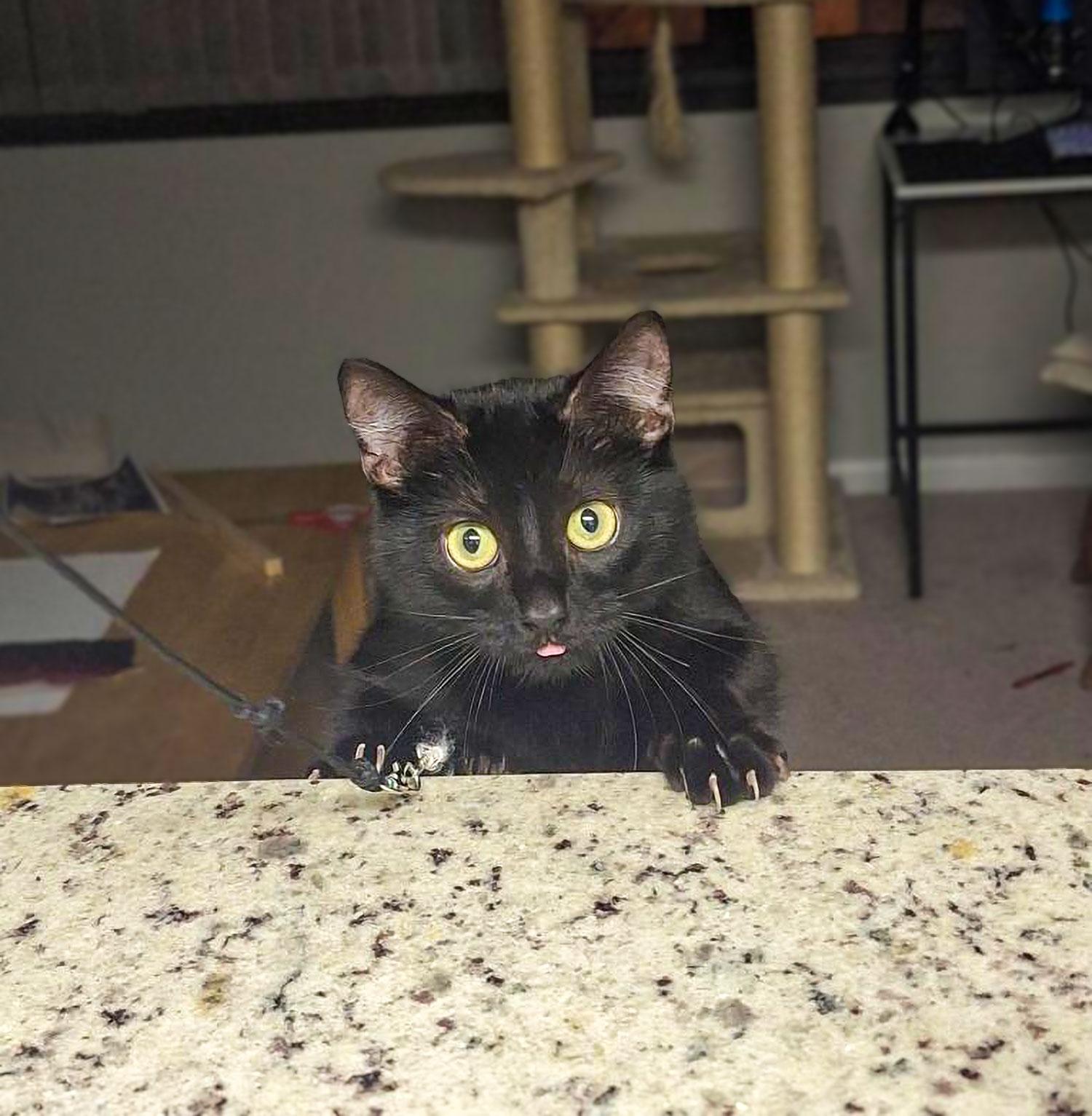 Rhonda — thumbnail 4