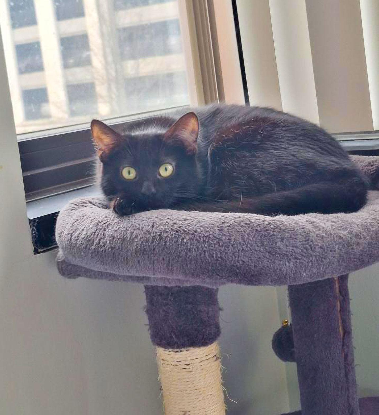 Rhonda — thumbnail 6