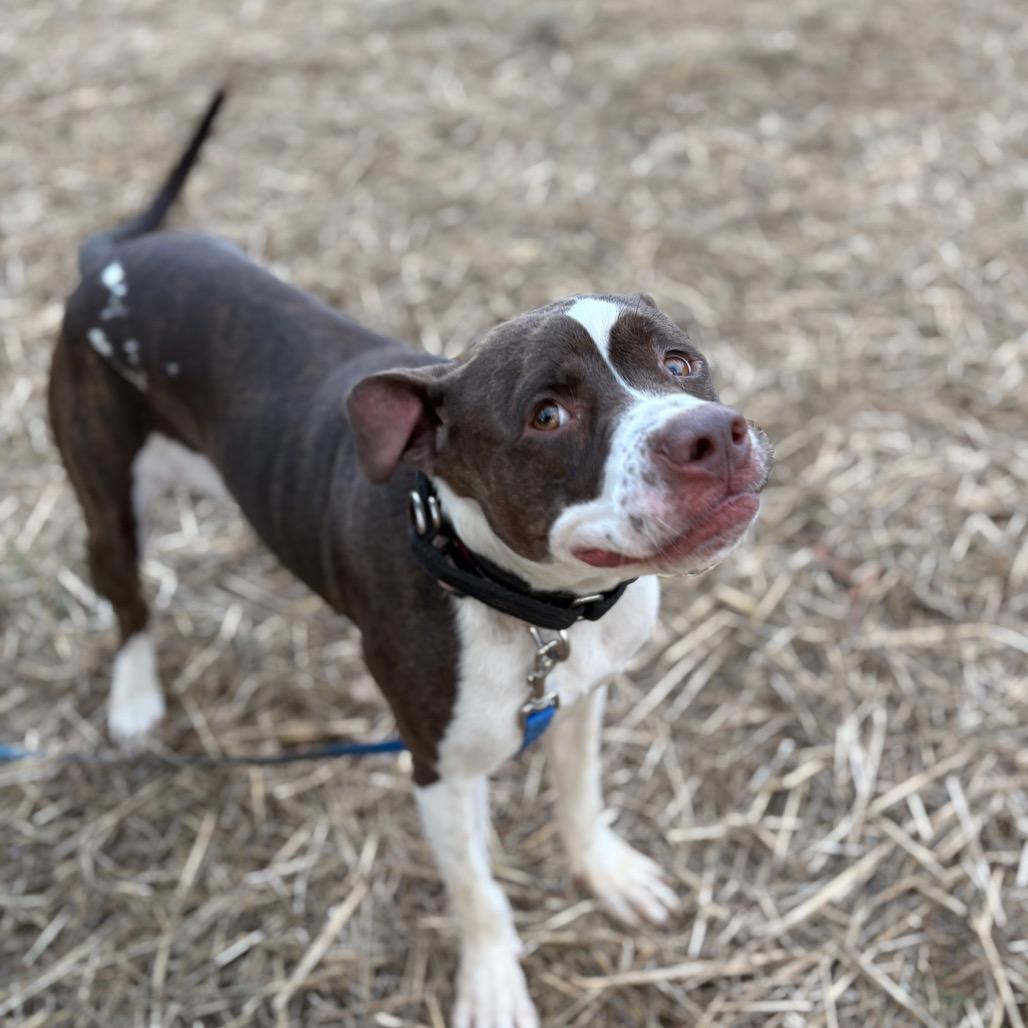 Reese — thumbnail 2