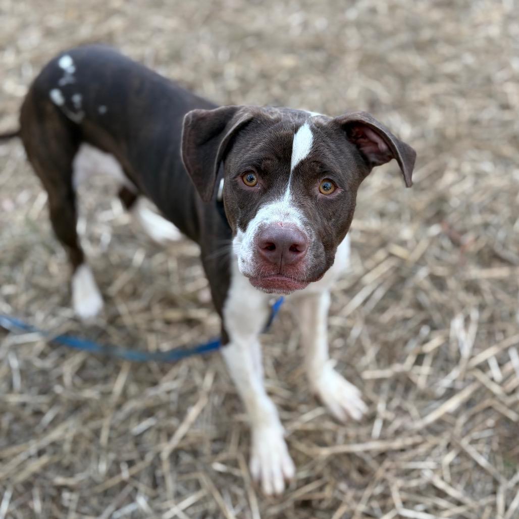 Reese — thumbnail 5