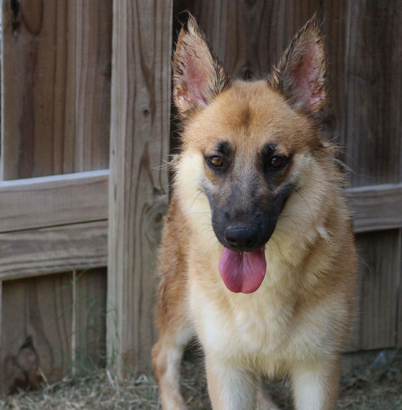 Callie Mae — thumbnail 2