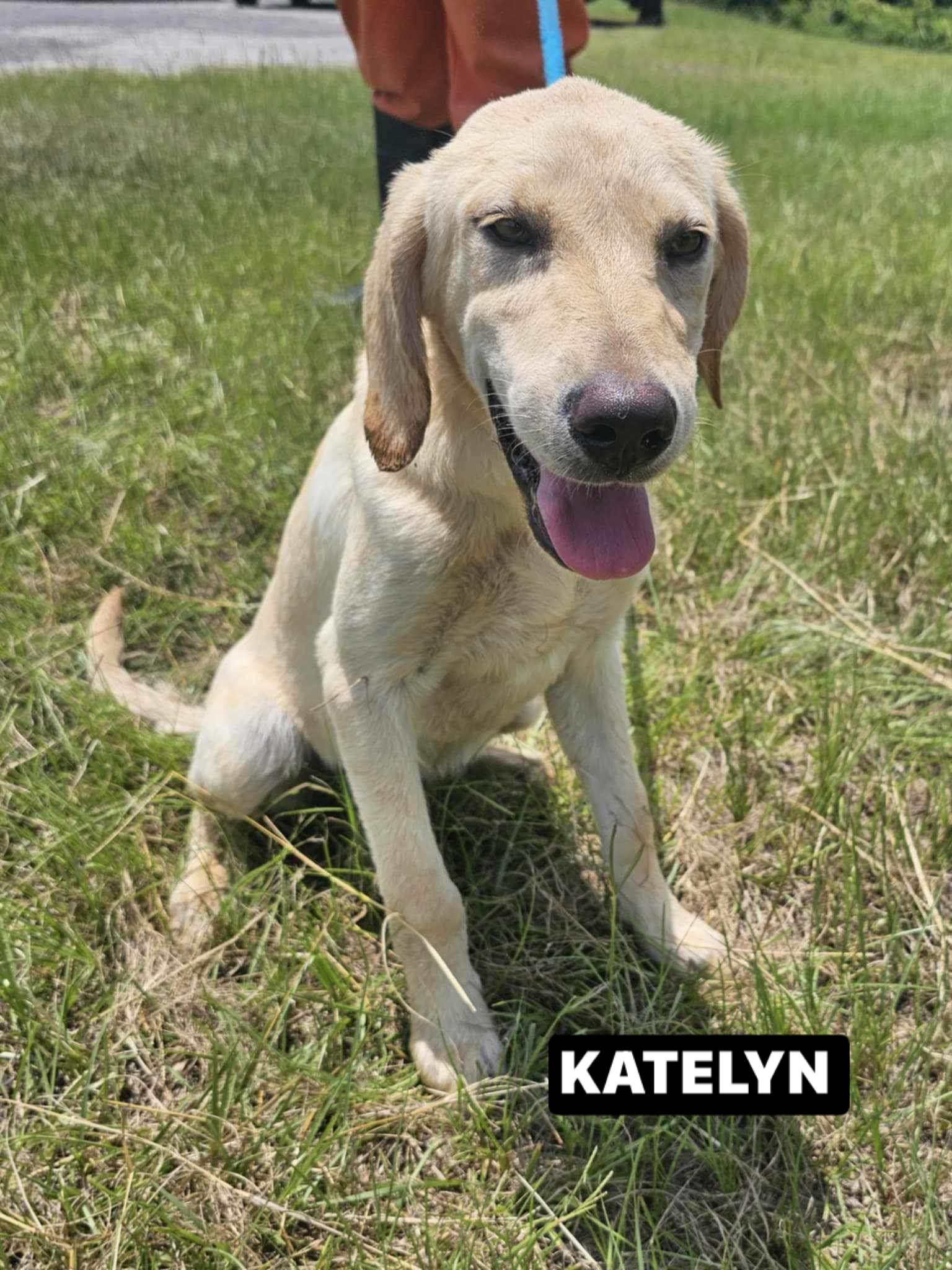 KATELYN