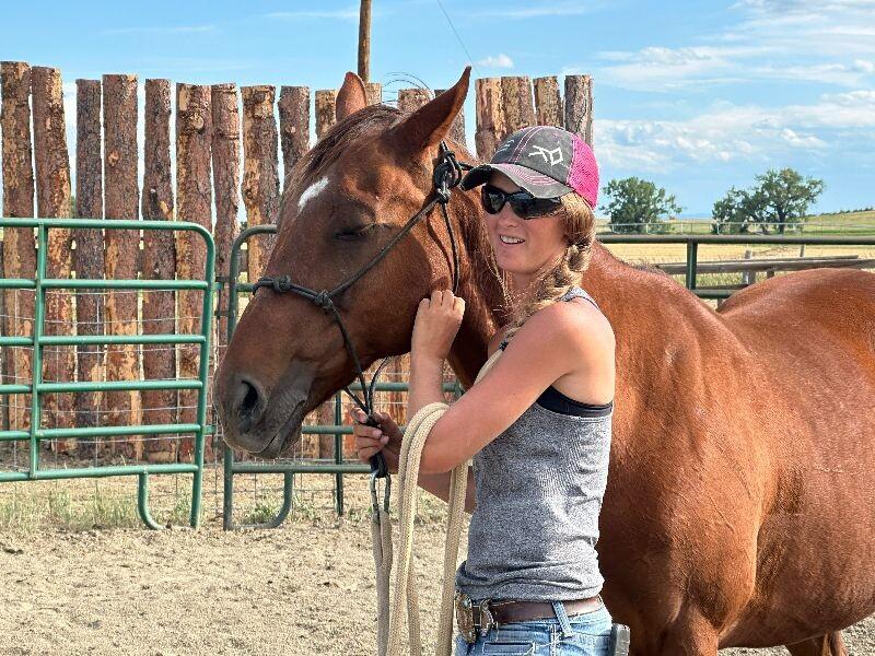 Enlarge Lucy, a Adoptable Quarterhorse in Scotland, SD image 1/6