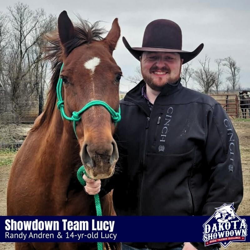 Enlarge Lucy, a Adoptable Quarterhorse in Scotland, SD image 4/6