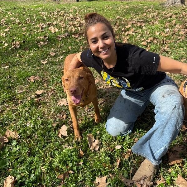 Gracie Gold Joy Jamboree — thumbnail 4