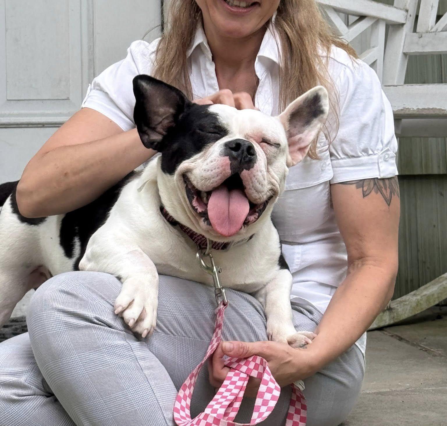 Enlarge Penelope, a Adopted mixed breed in Torrington, CT image 3/5