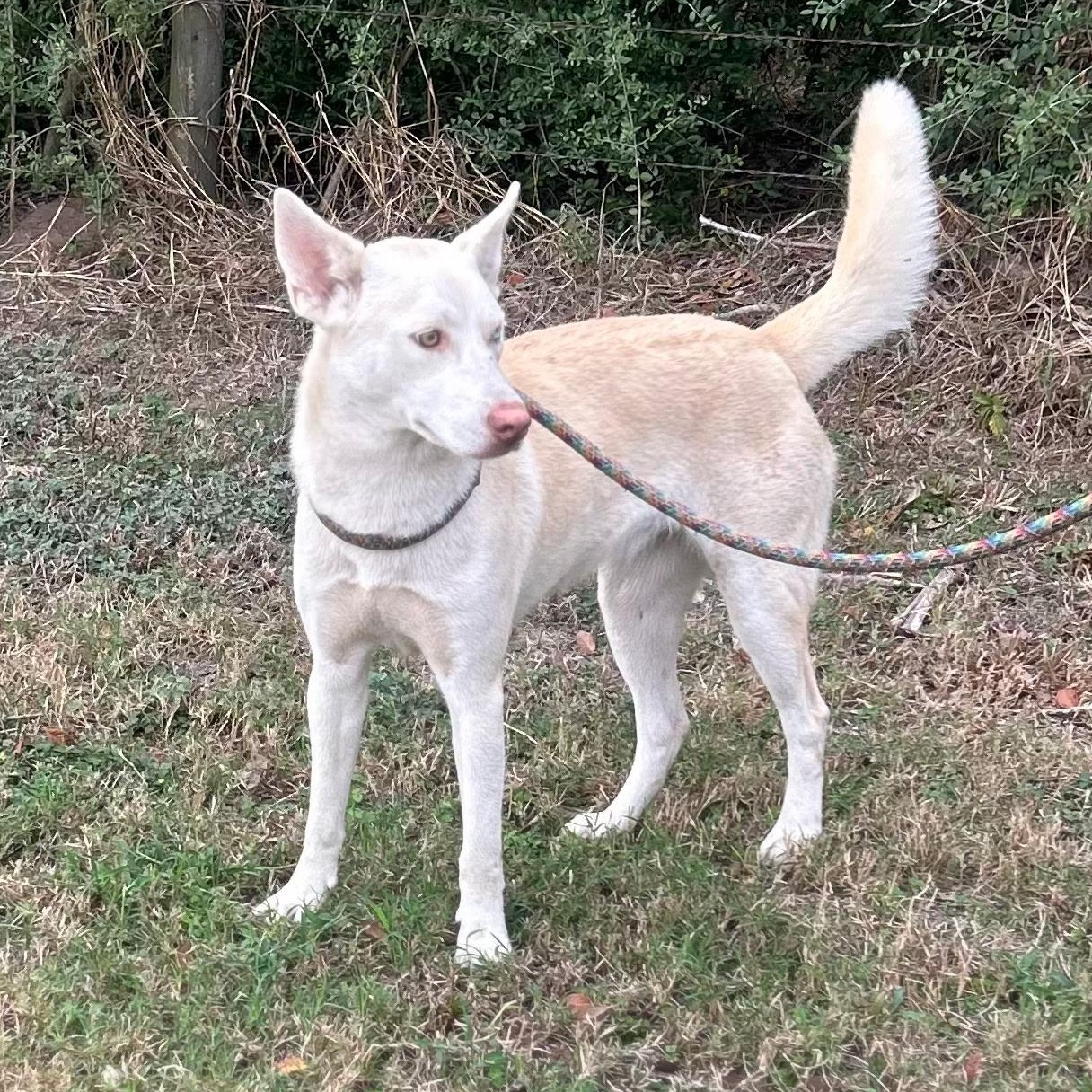 Sassy Girl — thumbnail 2