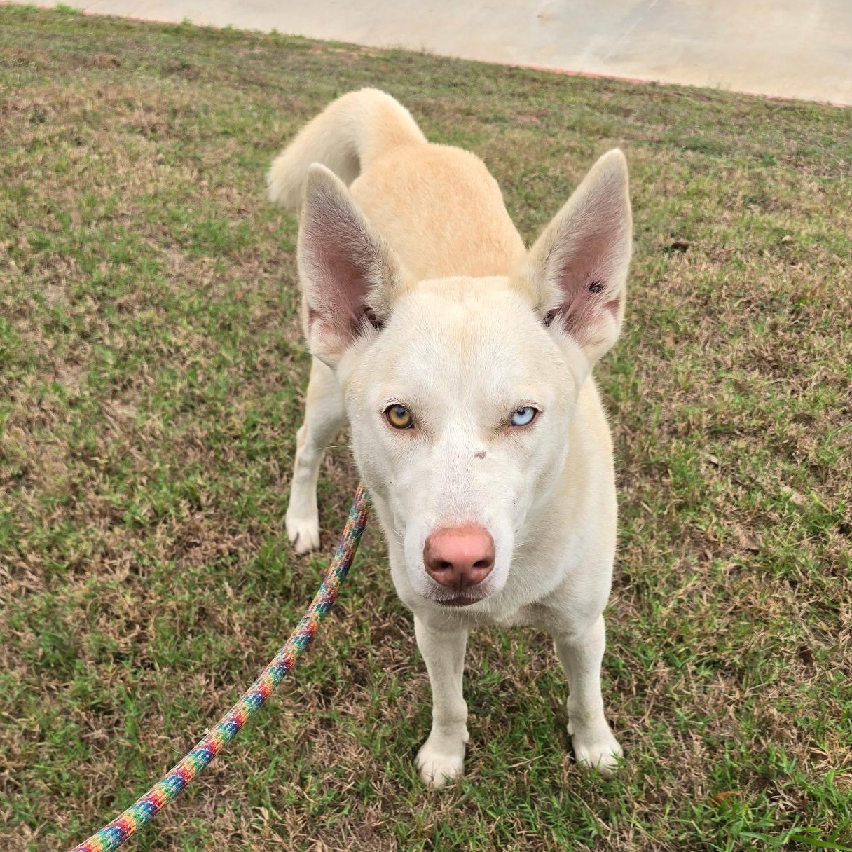 Sassy Girl — thumbnail 3