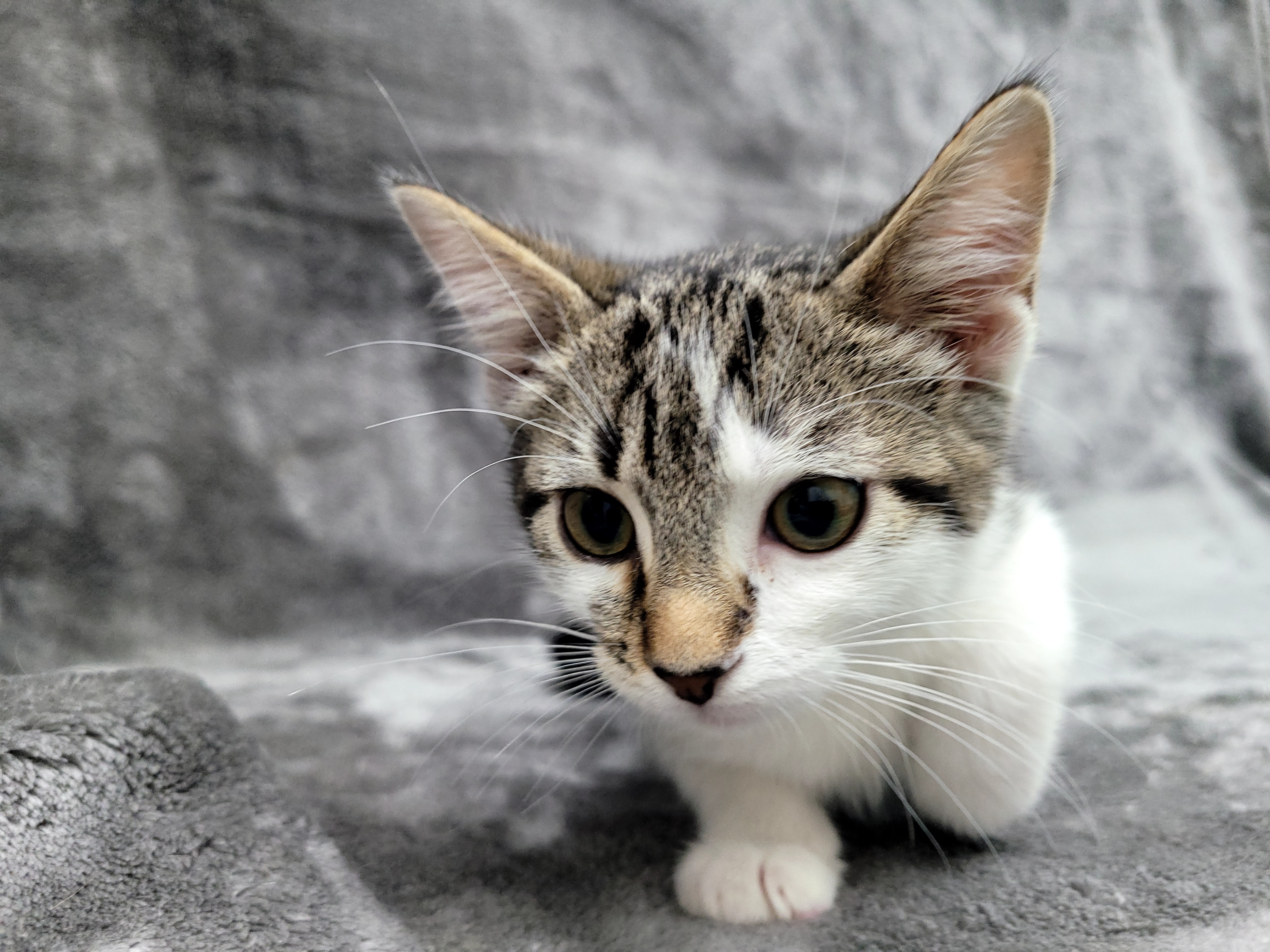 Maui — thumbnail 3