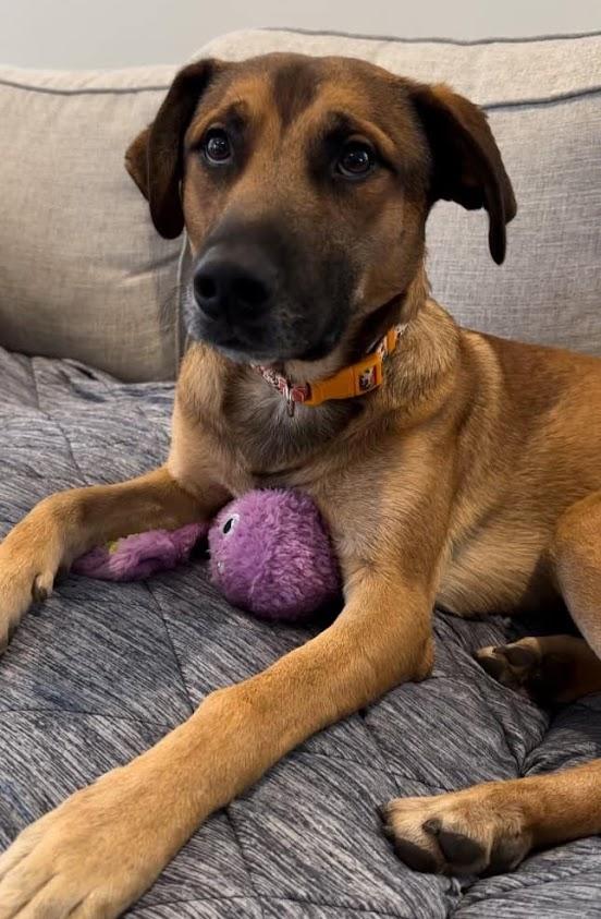 Benny