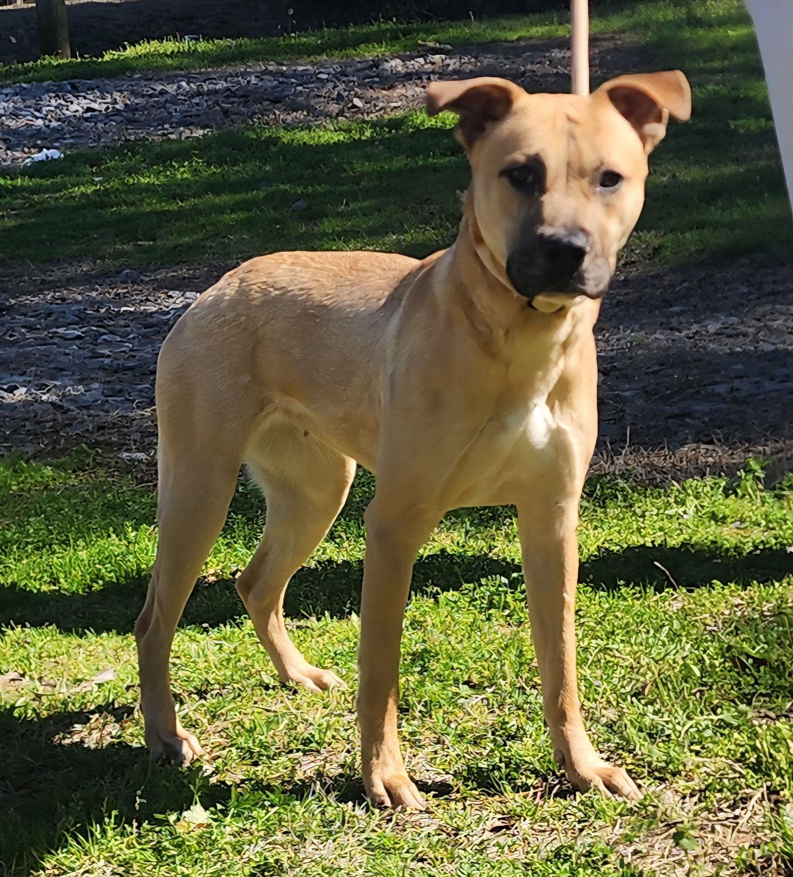 260134 Marcy — thumbnail 2