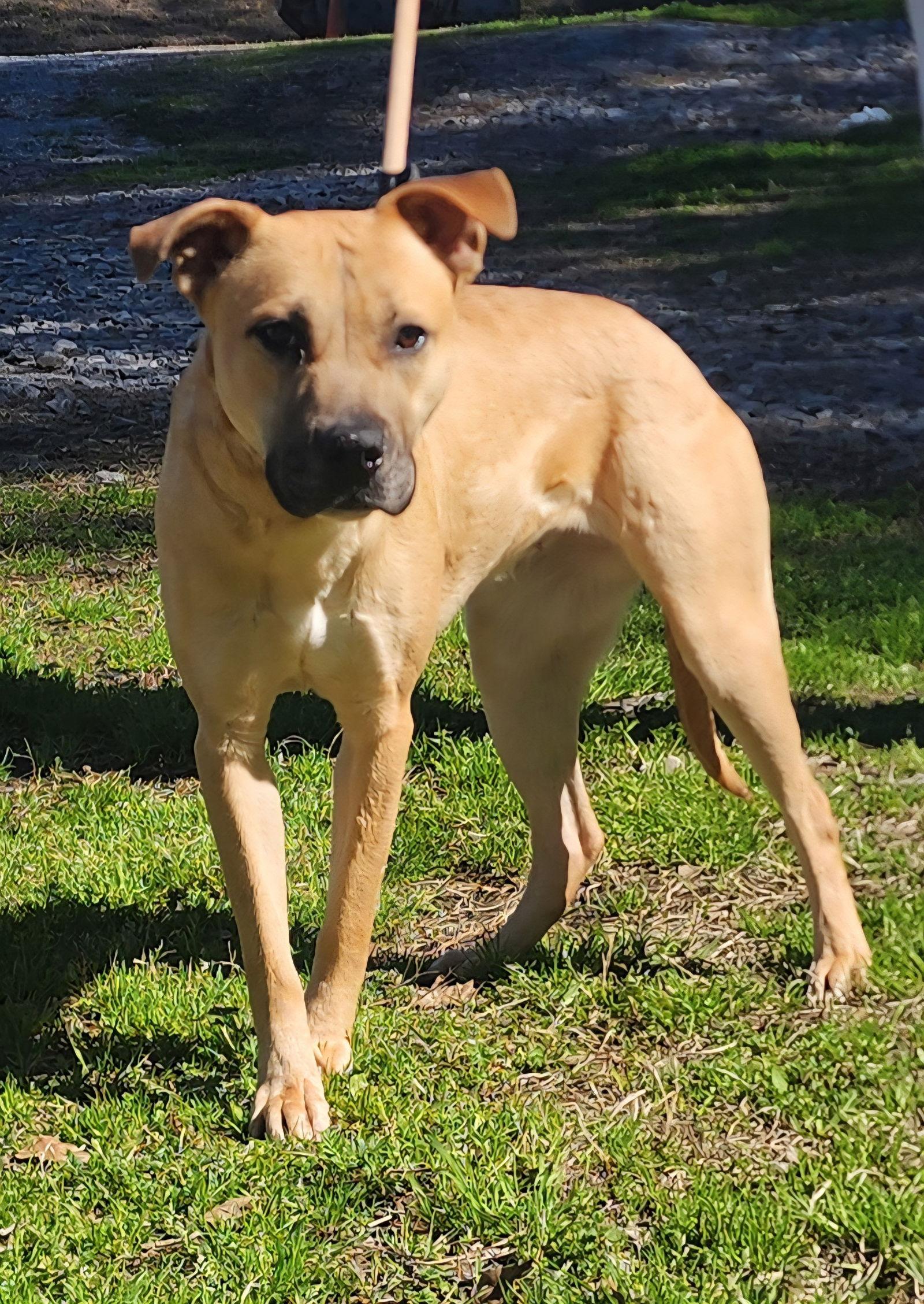 260134 Marcy — thumbnail 3