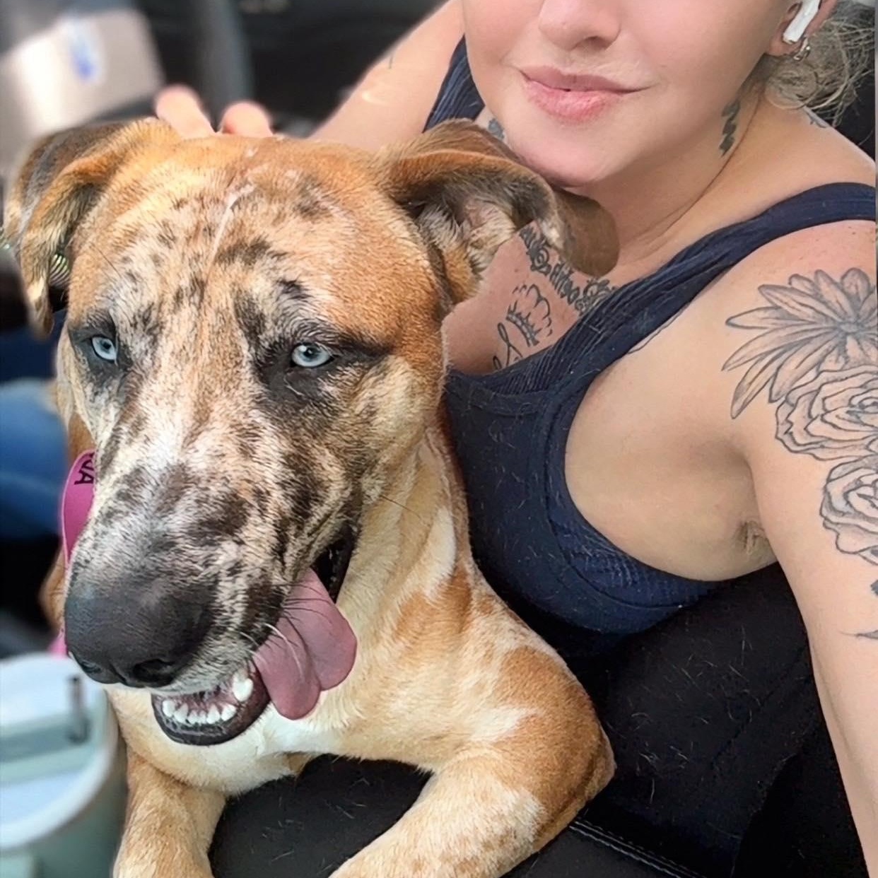 Enlarge Goosebump, an adopted mixed breed in Fort Lupton, CO image 1/6