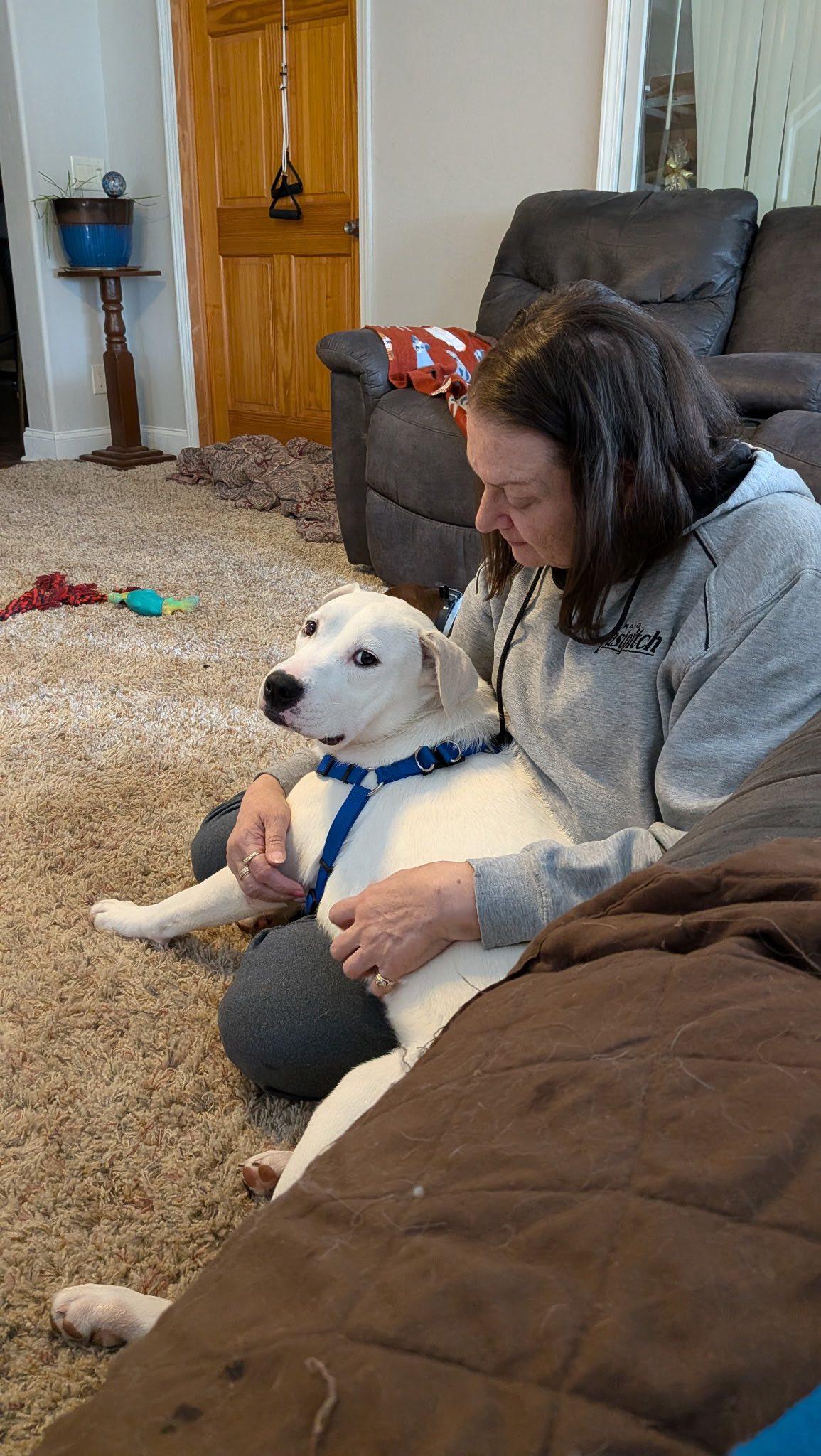 Enlarge Cole, a ADOPTABLE mixed breed in Clinton, WI image 6/6