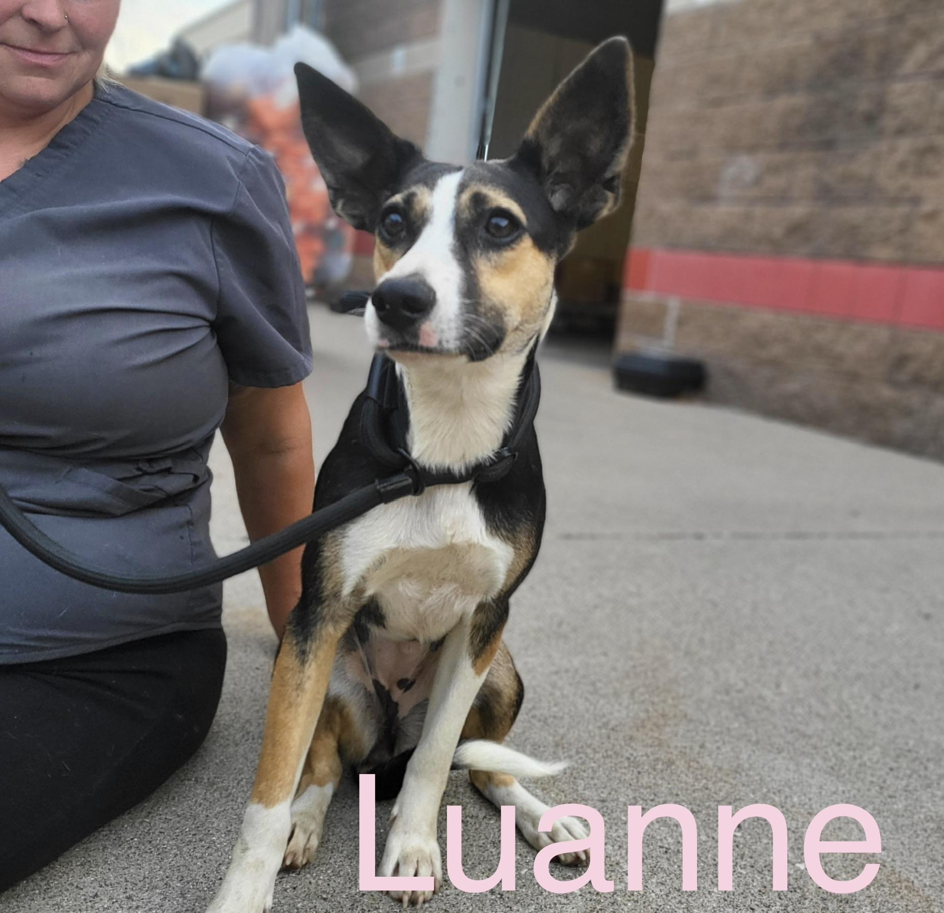 Luanne photo