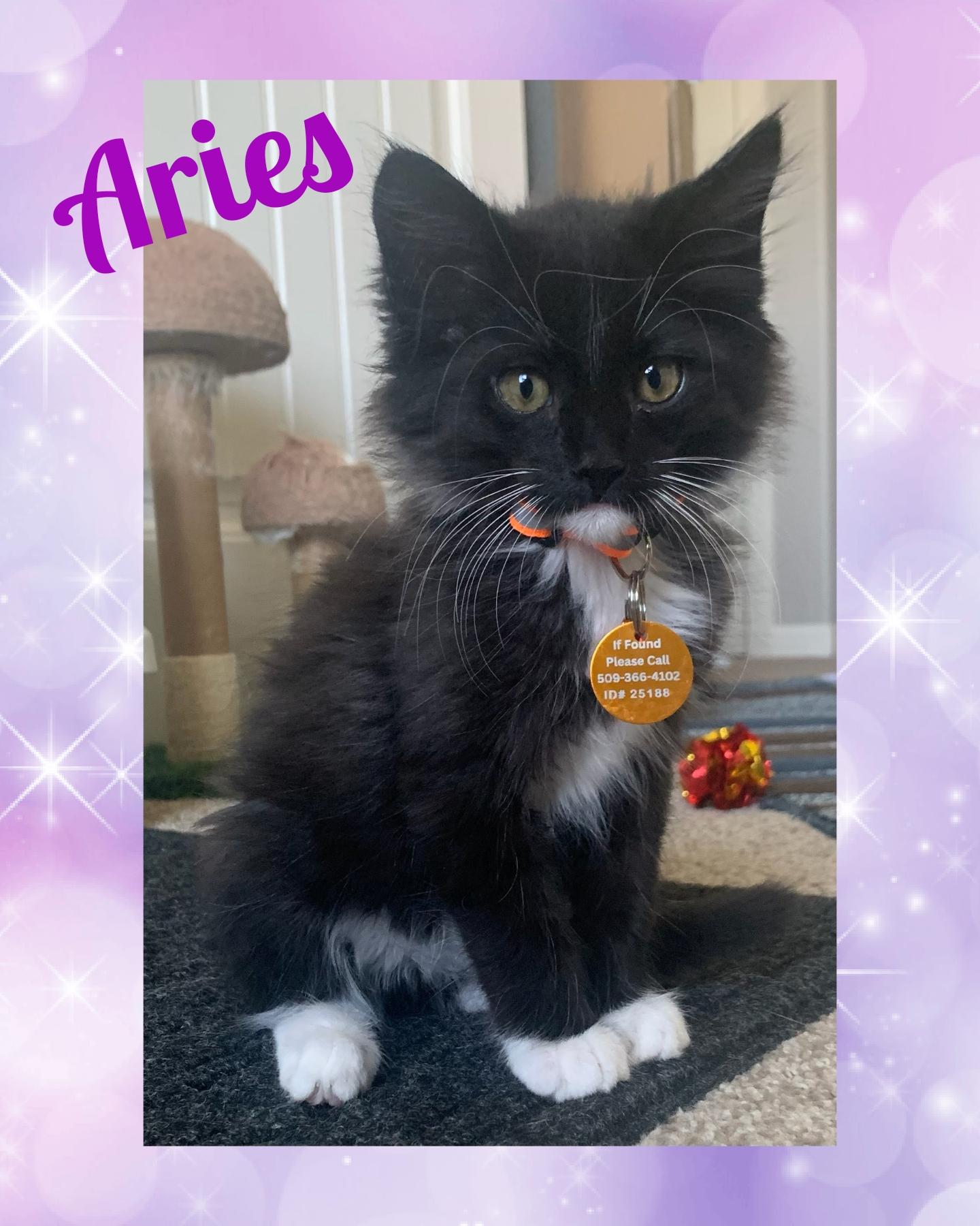 Aries