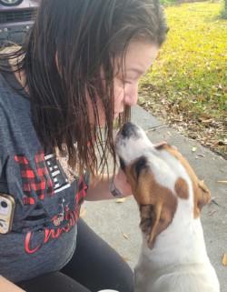 Enlarge Spots (in Foster), a Adoptable mixed breed in New Orleans, LA image 2/3