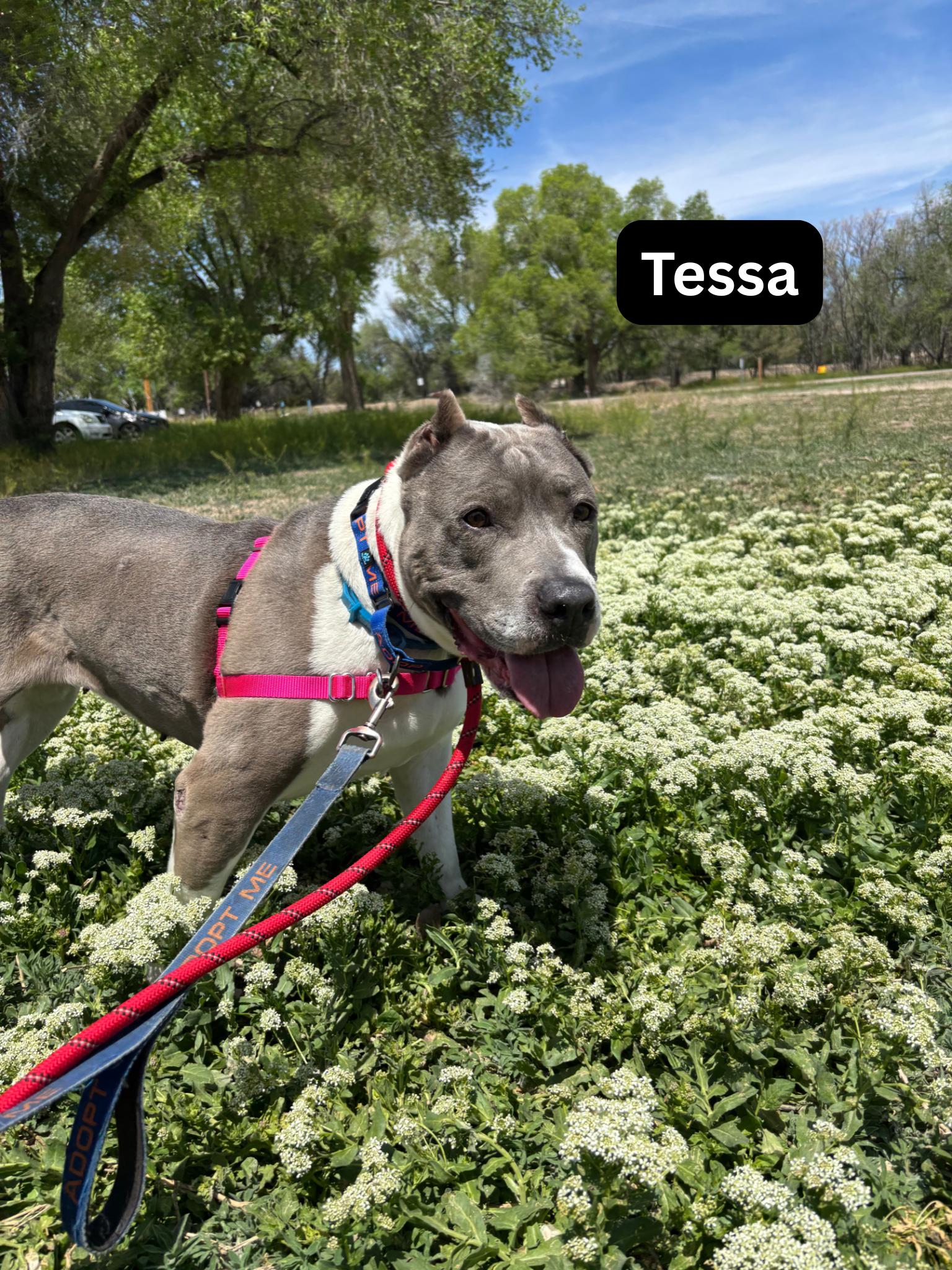 Lady Tessa photo 2