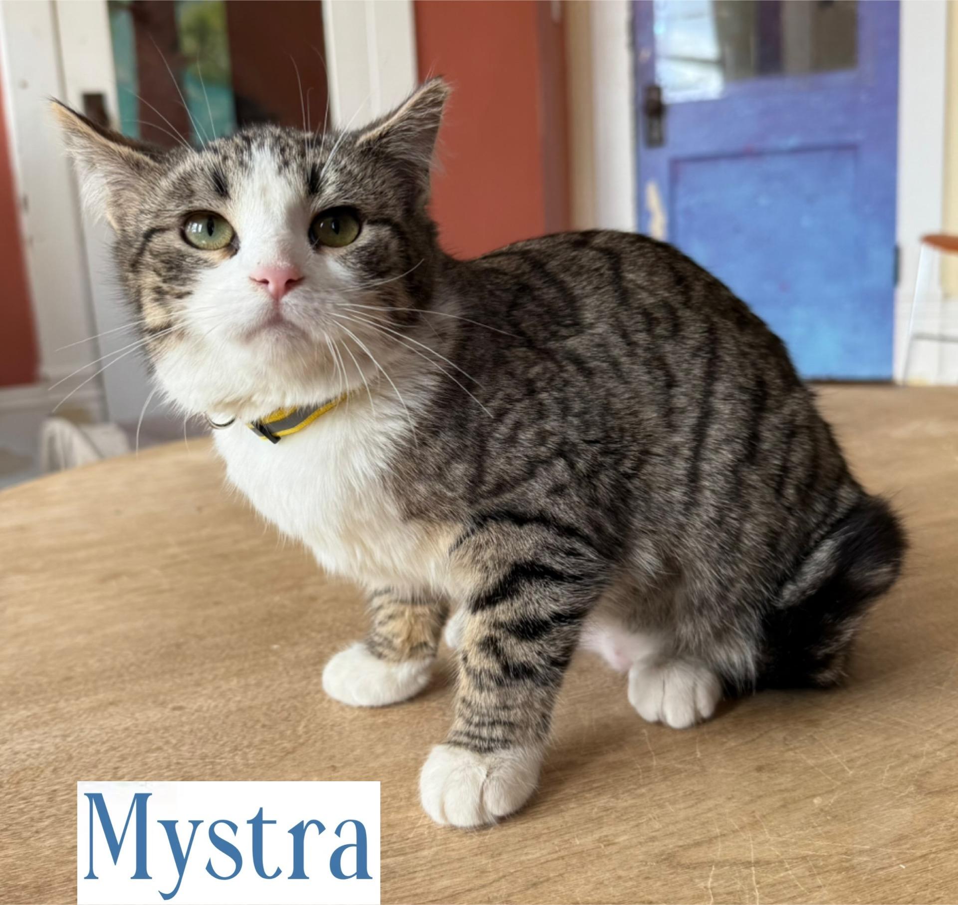 Mystra
