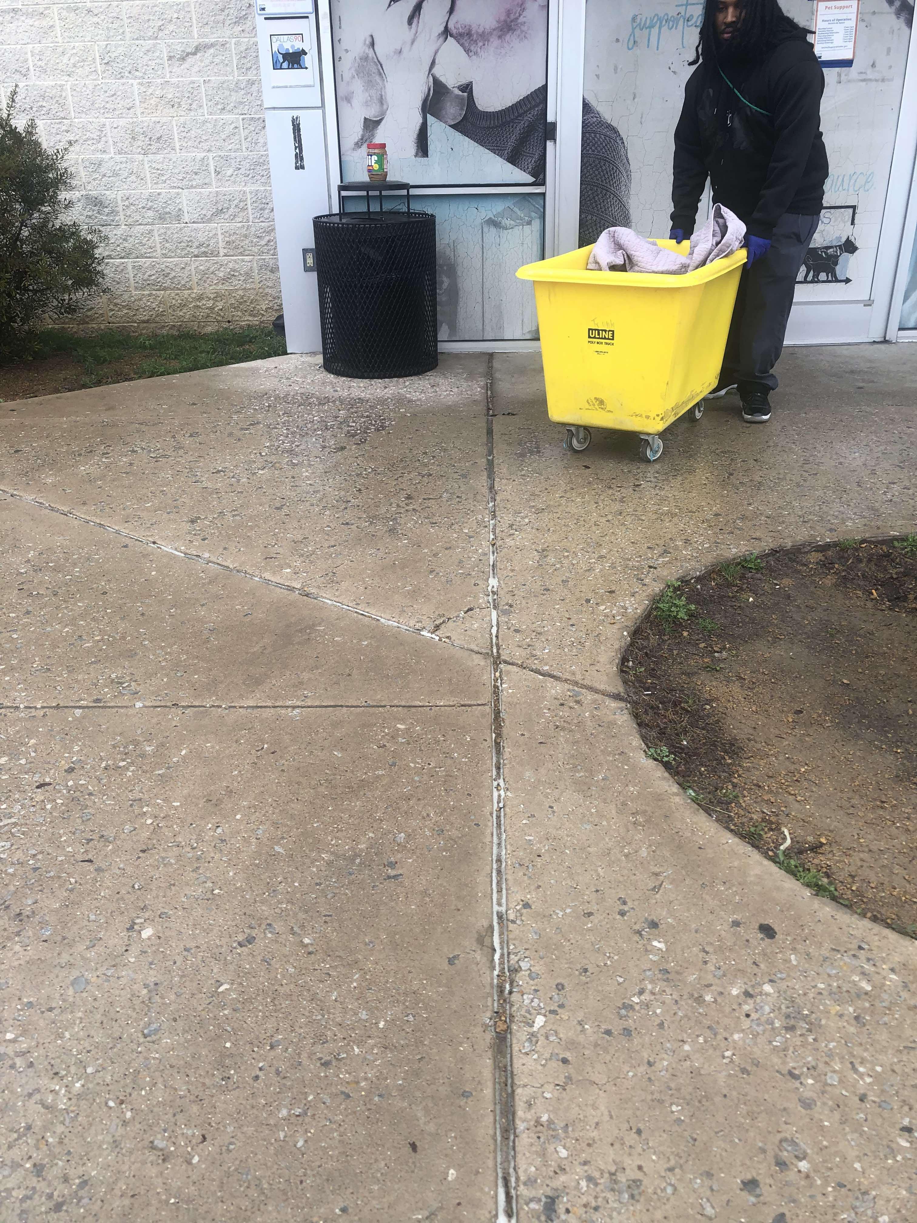 Enlarge Apollo 2, a Adoptable mixed breed in Arlee, MT image 5/6