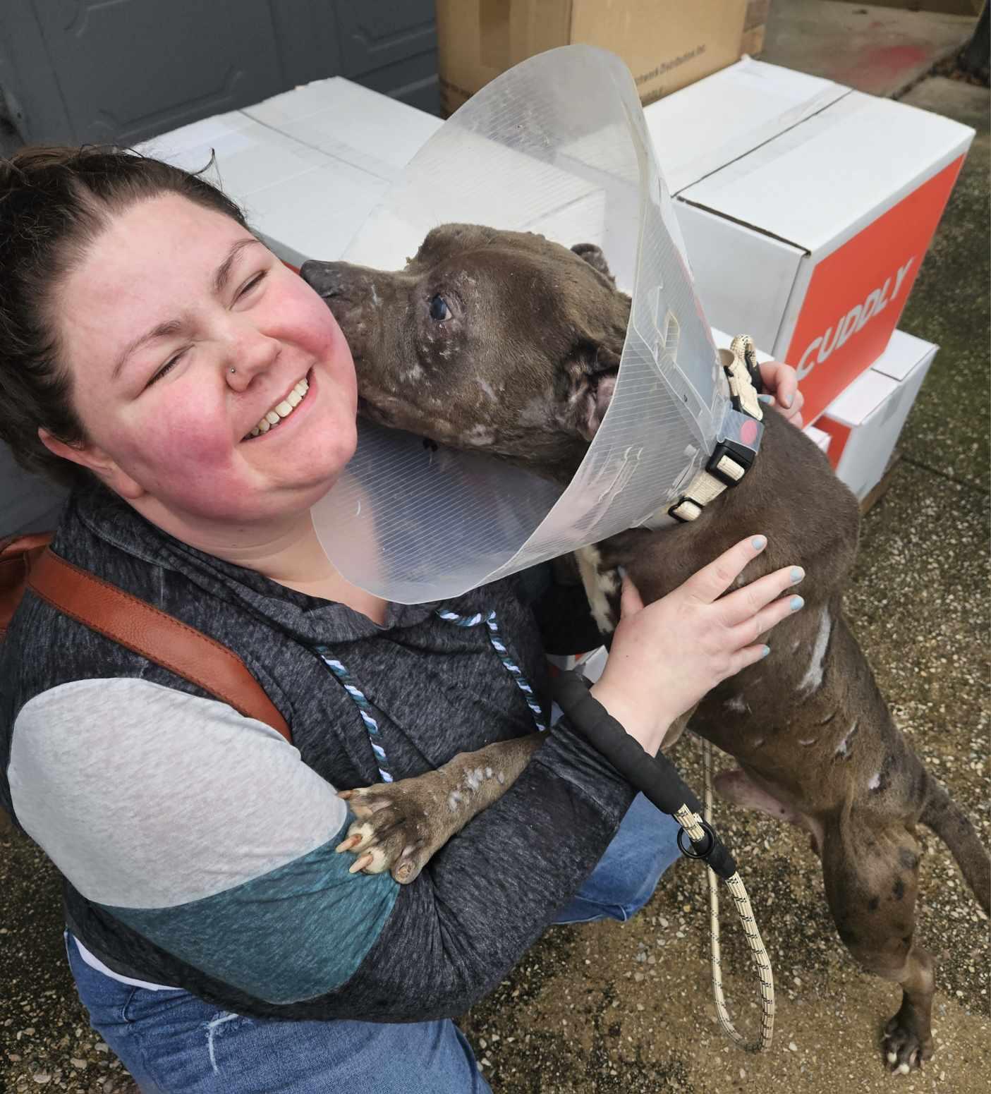 Enlarge Apollo 2, a Adoptable mixed breed in Arlee, MT image 6/6
