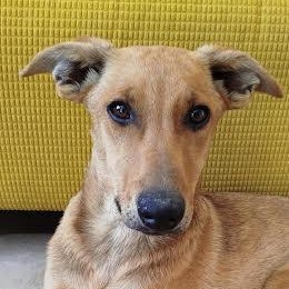 Josephine — thumbnail 2