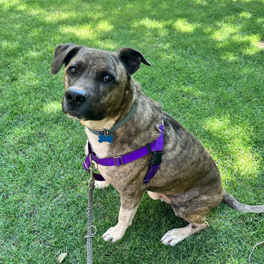 Tuna — thumbnail 6