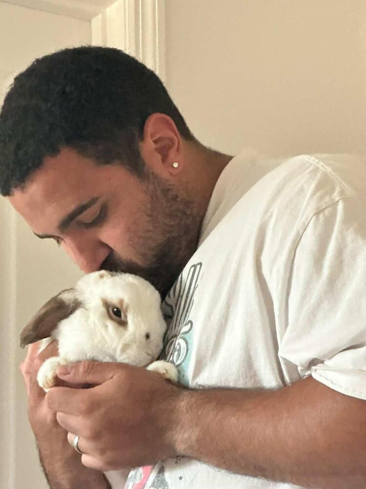 Enlarge Waffle, a Adoptable Lop Eared in Melbourne, FL image 3/6