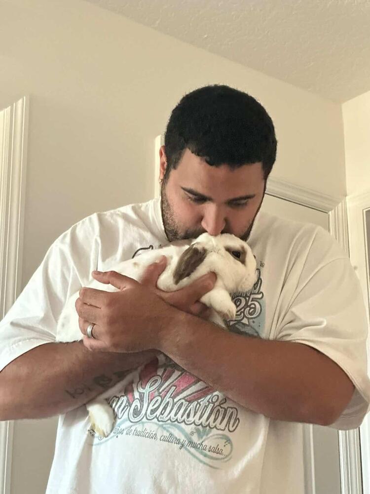 Enlarge Waffle, a Adoptable Lop Eared in Melbourne, FL image 5/6