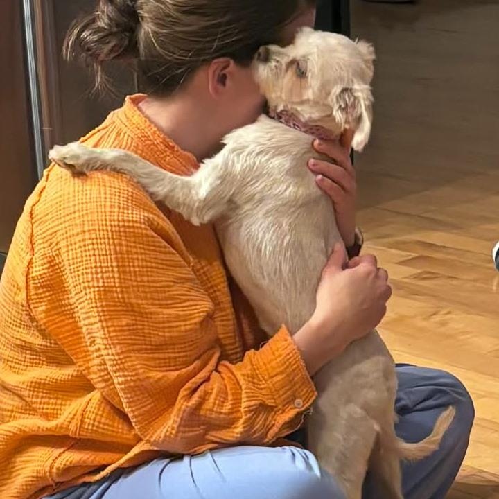 Enlarge Lola, a ADOPTABLE mixed breed in Homer Glen, IL image 3/6