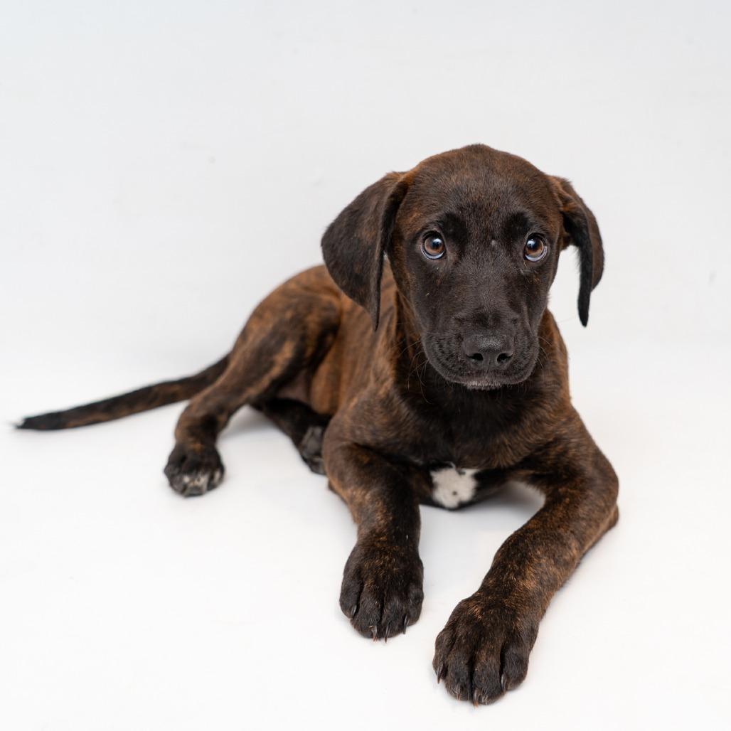 Moonbyul thumbnail 2