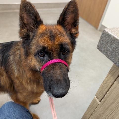 Farrah — thumbnail 5