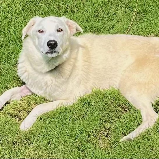 Nettie — thumbnail 3