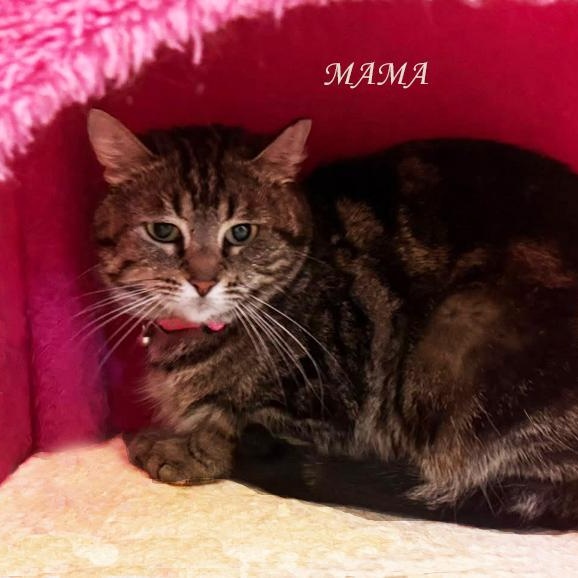 Mama Avo 5/24 bonded w/Tiny